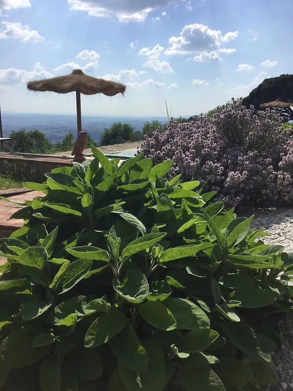 Tenuta Di Castra San Giusto